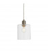 Toledo 1 Light Ceiling Pendant Brushed Nickel & Clear Glass