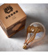 Accessory Tinted Amber Glass & Brass Plate Bulb IP20 - E27-4