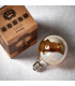 Accessory Tinted Amber Glass & Brass Plate Bulb IP20 - E27-4