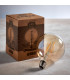 Accessory Tinted Amber Glass & Brass Plate Bulb IP20 - E27-2
