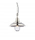 Langley Dome Pendant Bright Nickel Plate & Clear Glass 1 Light Dimmable IP20 - E27