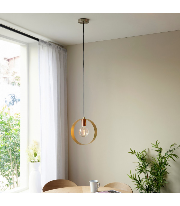 Hoop Single Pendant Ceiling Lamp-4