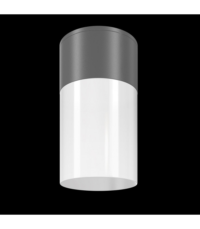 Maytoni Willis Outdoor Surface Mounted Downlight Graphite E27 IP54-2