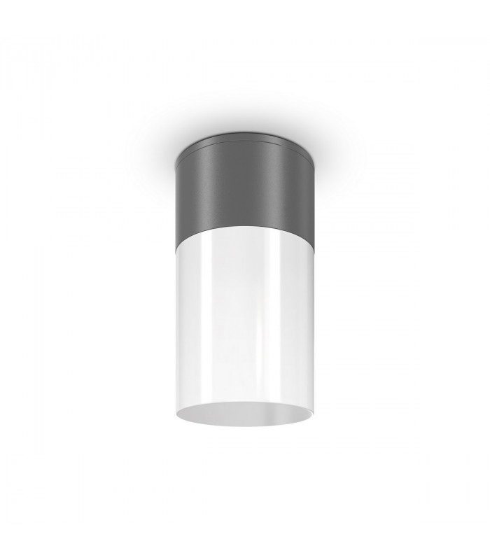 Maytoni Willis Outdoor Surface Mounted Downlight Graphite E27 IP54-4