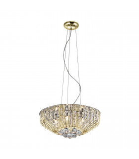 Classica 1 Light Black Gold Single Wall Light