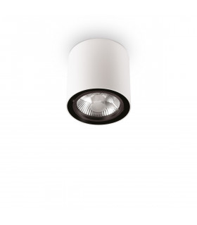 Mood 1 Light Large Round Surface Mounted Downlight White GU10