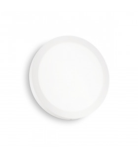 Universal LED 1 Light Indoor Large Flush Light White