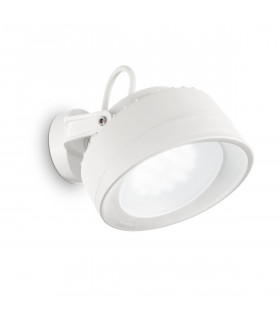Tommy 1 Light Outdoor Wall Light White IP66