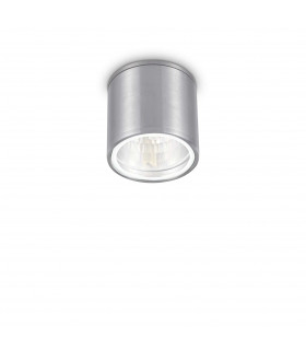Gun 1 Light Outdoor Surface Mounted Ceiling Downlights Aluminium Polished Chrome IP44 GU10