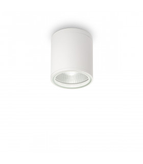 Gun 1 Light Outdoor Surface Mounted Ceiling Downlights White Polished Chrome IP44 GU10