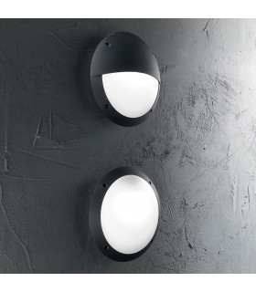 Lucia 1 Light Half Diffuser Outdoor Flush Wall Light Black IP66 E27-2