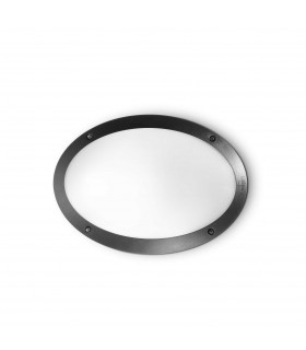 Maddi 1 Light Diffuser Outdoor Flush Ceiling / Wall Light Black IP66 E27