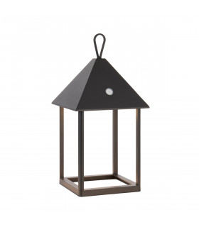 Hoot Integrated LED Table Lamp Matt Black Clear Glass IP44-1