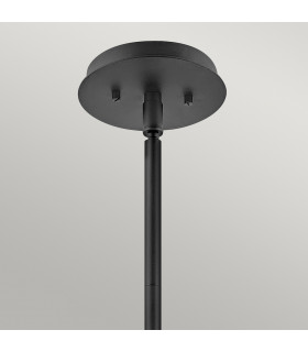 Hinkley Lotus Dome Pendant Ceiling Light Black-2