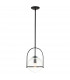 Hinkley Somerset Globe Pendant Ceiling Light Black-1