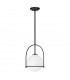Hinkley Somerset Globe Pendant Ceiling Light Black-1