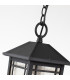 Quoizel Cedar Point Outdoor Pendant Ceiling Light Black IP44-2