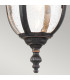 Cleveland Outdoor Pendant Ceiling Light Weathered Bronze IP44-2