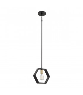Quoizel Bismarck Slim Pendant Ceiling Light Earth Black-1