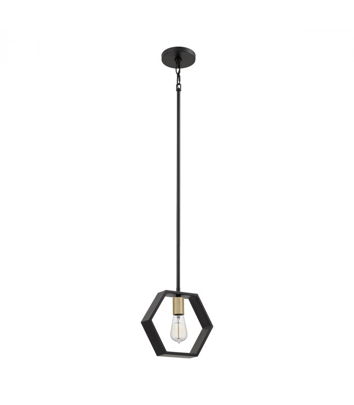 Quoizel Bismarck Slim Pendant Ceiling Light Earth Black-1