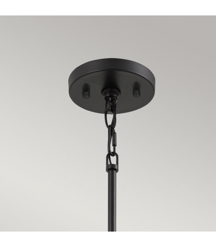 Quoizel Bismarck Slim Pendant Ceiling Light Earth Black-4
