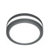 Ano 1 Light Outdoor Wall / Ceiling Lantern Light Graphite IP54-1