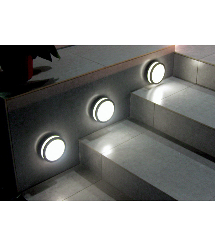 Ano 1 Light Outdoor Wall / Ceiling Lantern Light Graphite IP54-2