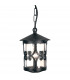 Hereford 1 Light Outdoor Ceiling Lantern Black E27-1