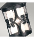 Hereford 1 Light Outdoor Ceiling Lantern Black E27-3
