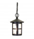 Hereford 1 Light Outdoor Ceiling Lantern Black IP43 E27-1