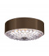 Botanic 3 Light Small Flush Mount Ceiling Light Brass E27
