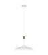 Darwin 1 Light Pendant Matt White E27-1