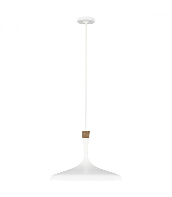 Darwin 1 Light Pendant Matt White E27-1