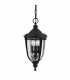English Bridle 3 Light Medium Outdoor Ceiling Chain Lantern Black E14-1