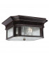 Federal 2 Light Bathroom Flush Outdoor Ceiling Lantern Bronze IP44 E27