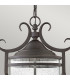 Hinkley Casa Outdoor 3 Light Chain Lantern Olde Black IP44-2