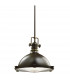 Hatteras Bay 1 Light  Medium Dome Ceiling Pendant Olde Bronze E27
