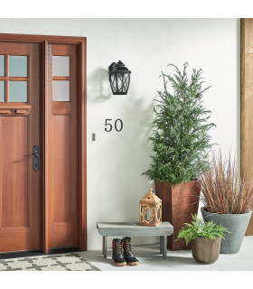 Tangier 1 Light Outdoor Medium Wall Lantern Olde Bronze IP44-2