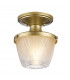 Dublin 1 Light Semi-Flush Mount Painted Natural Brass IP44 E27-1