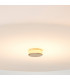 Tamar 1 Light Medium Flush Light - Polished Gold-3