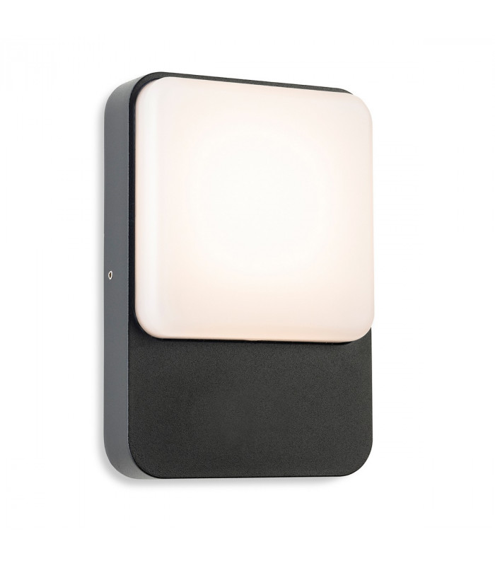 Hero LED Wall Light Graphite with White Polycarbonate Diffuser IP54