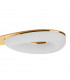 Juno Telescopic Convertible To Semi Flush 3 Light 15W LED 3000K 1350lm Satin Gold/Frosted Acrylic/Gold 3yrs Warranty-8