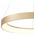Niseko Ring Pendant 65cm 50W LED, 3000K-6000K Tuneable, 3500lm, Remote Control, Gold, 3yrs Warranty