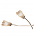 Pietra Linear Pendant 2 Arm 4 Light G9 Antique Brass-6
