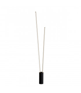 Vertical 2 Light Floor Lamp 44W LED 3000K 2600lm Dimmable Black 3yrs Warranty-1