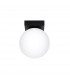 Yoli Globe Ceiling Light Black-1