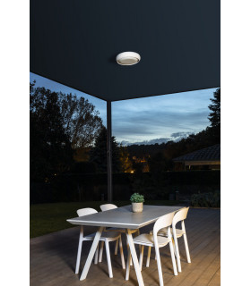 Anga 295 White LED Ceiling Lamp 24W 2700K IP44-2