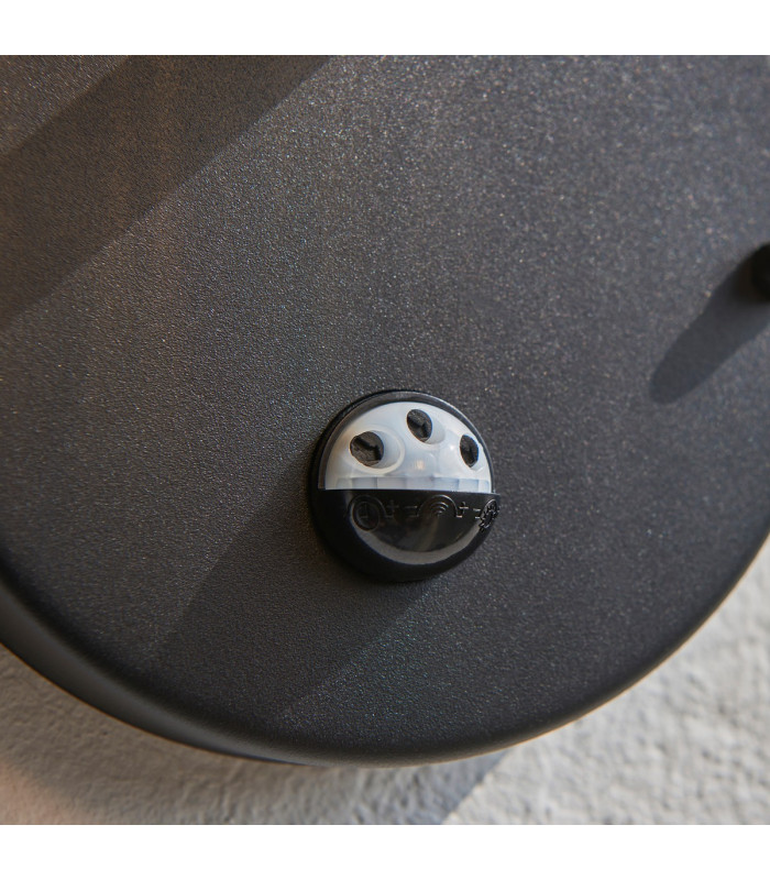 Eldon Globe Wall Lamp Textured Black IP44-9