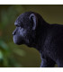 Capuchin Table Lamp Matt Black-5