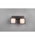 Burton Modern 2 Light Twin Ceiling Spotlight Black Matt-3